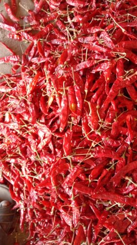 WhatsApp-Image-2025-12-16-at-9.45.35-AM