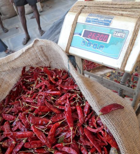 WhatsApp-Image-2025-12-16-at-9.45.38-AM